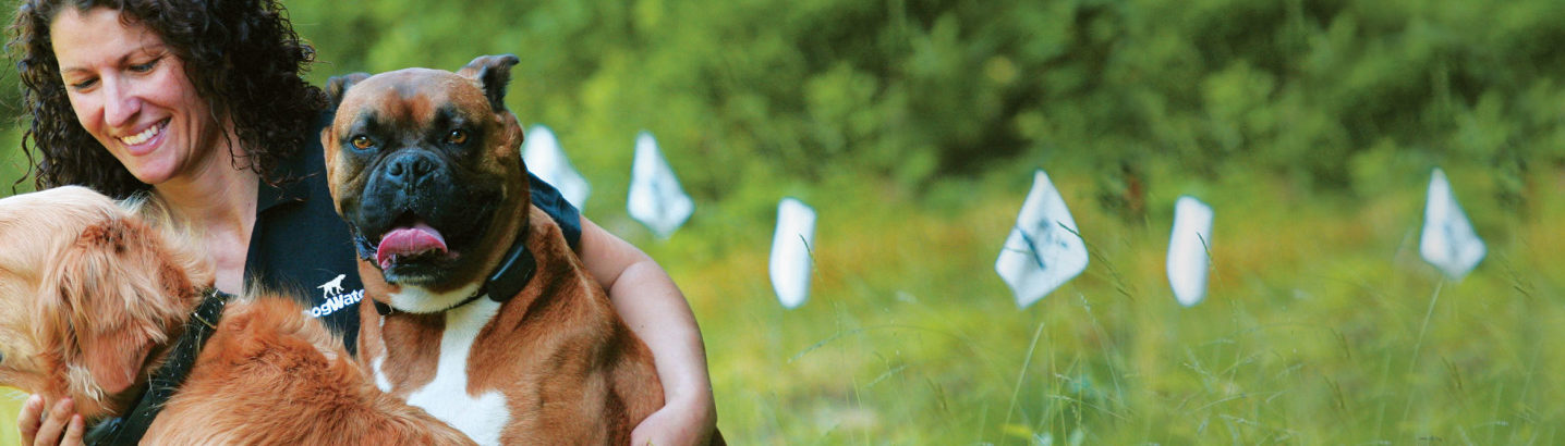 how old does a puppy have to be to use an invisible fence