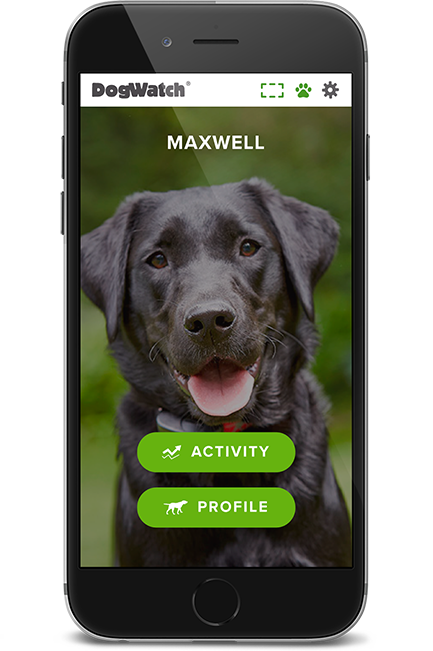 DogWatch of the Twin Cities, Chaska, Minnesota | SmartFence WebApp Image