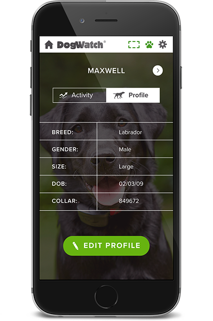 DogWatch of the Twin Cities, Chaska, Minnesota | SmartFence WebApp Image