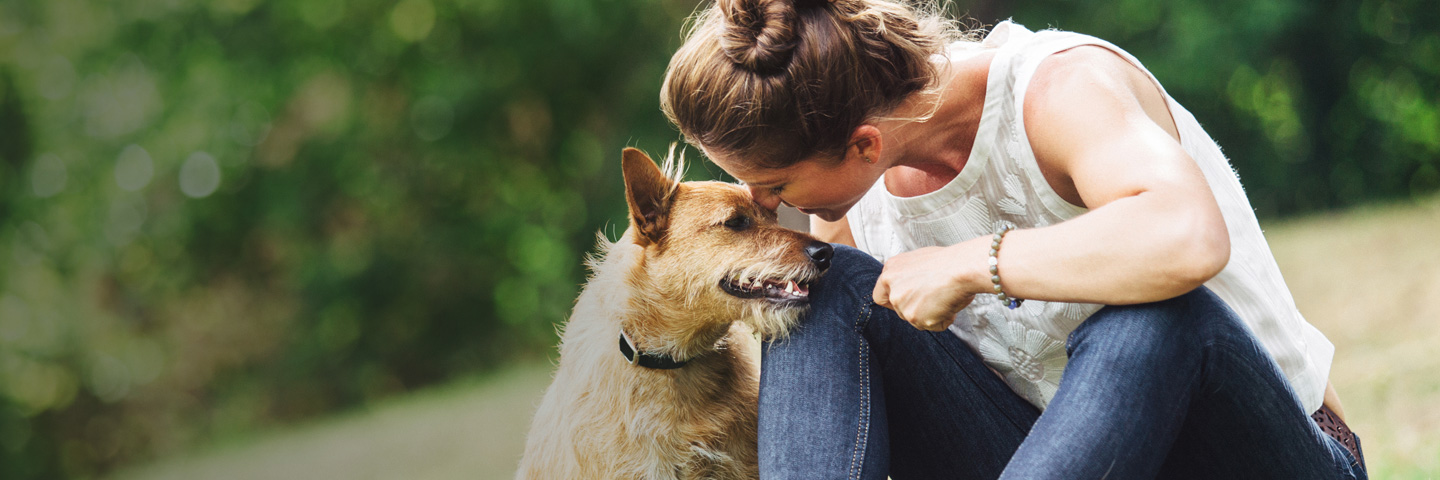 DogWatch of the Twin Cities, Chaska, Minnesota | BarkCollar No-Bark Trainer Slider Image